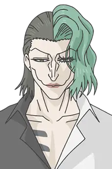 Anatomi Kurita